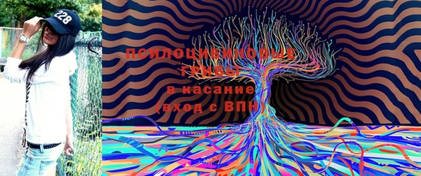 МДПВ Арсеньев