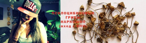 стаф Нязепетровск